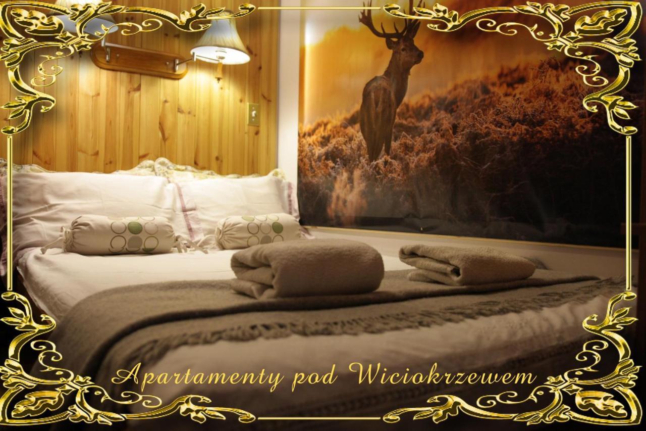 Apartamenty Pod Wiciokrzewem Supraśl Exteriér fotografie